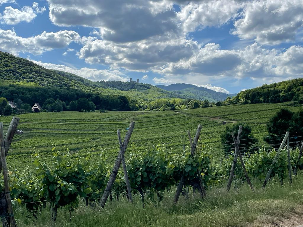 Villa Alsace – Elsässische Landschaft